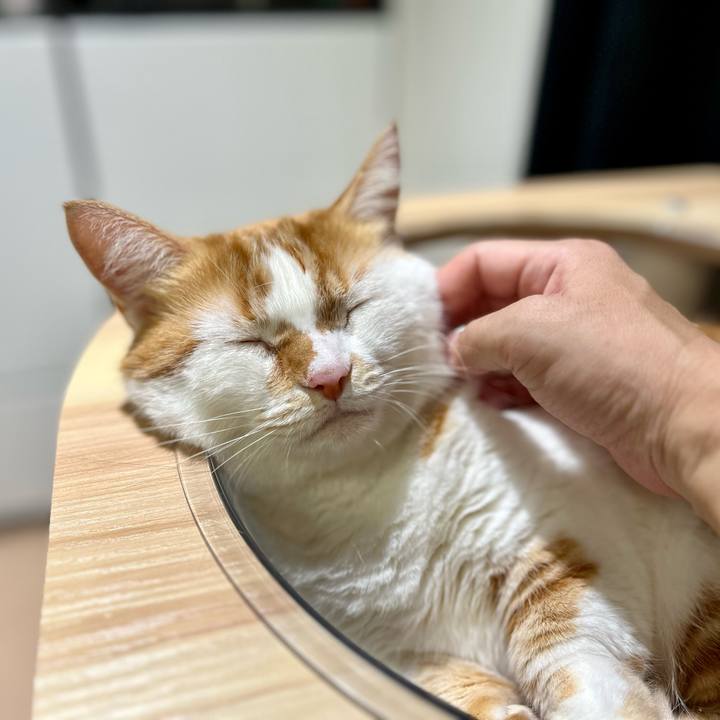 D86d4e4f b1fd 4b5b a57a 0b1e42276166 1759117004133