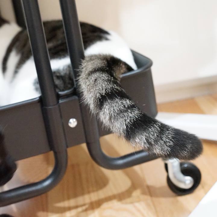 D86d8f07 02de 4f0c 9040 5087d56dc51a 1533255164419