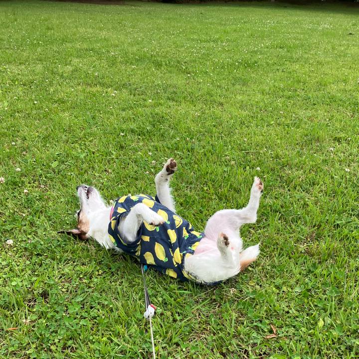 D86d9037 892b 4b92 afef 8e85a4eee5ce 1686612325618