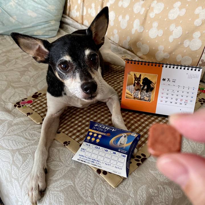 D86d9e57 8db2 41db 948a d6543f81f073 1593555656017