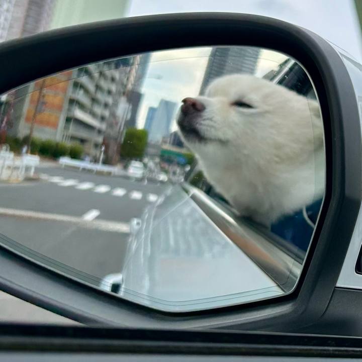 D86dbc7c 3431 4394 8c2d 19b6b99630a6 1760617961366