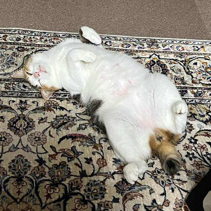 D86dbe08 be01 4280 98d5 56777c17714d 1768578014029