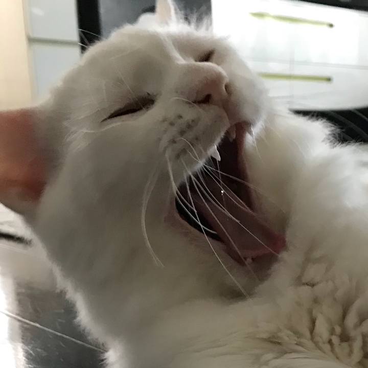 D86dcb29 00d5 4091 bd3a 820d230c1a4e 1525529438206