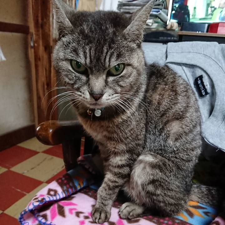 D86dedc6 c8f9 43b1 9fa6 f5ce73ae3ed3 1553984653804