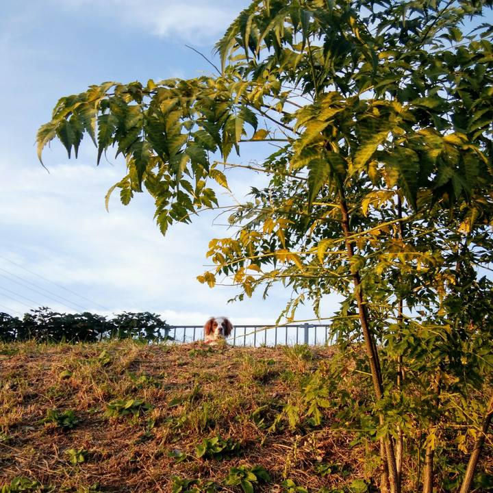 D86e15de 7724 48b5 91fc 69865d76be77 1541934822987