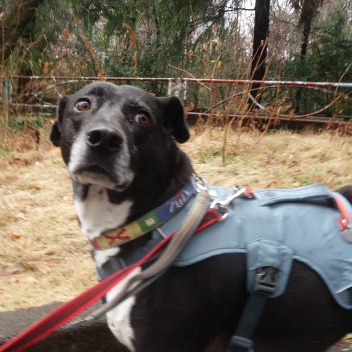 D86e1bce 562e 4df2 8173 2a56327762bd 1709685497950