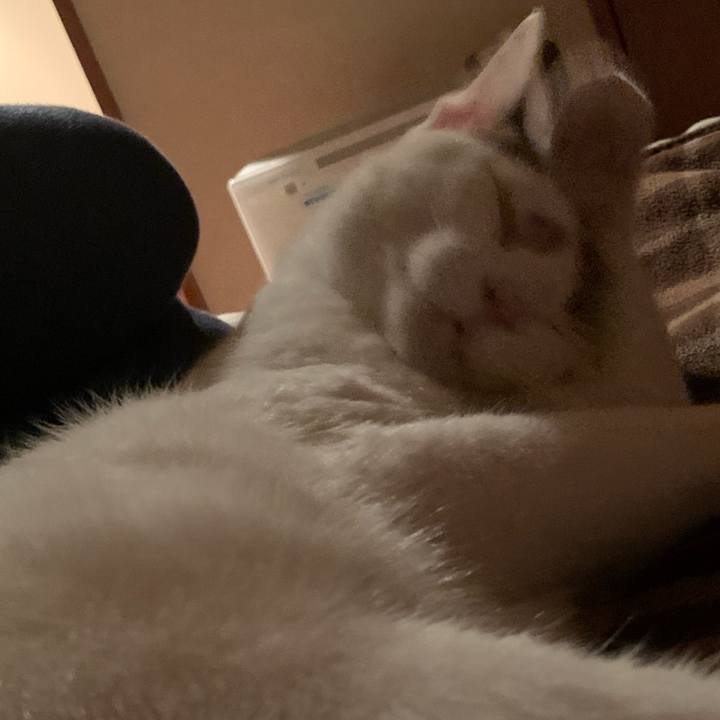 D86e51bd cadb 4b19 b68c 44cb9ddf1234 1612012141690