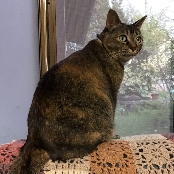 D86e6aaa 4a8d 41c4 9f6f ae7cb28d0585 1745485723465