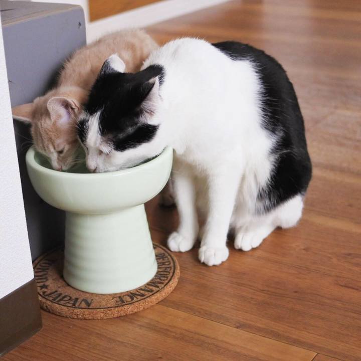 D86eba07 879a 4104 82bf 3cbc042c90b5 1544697057663