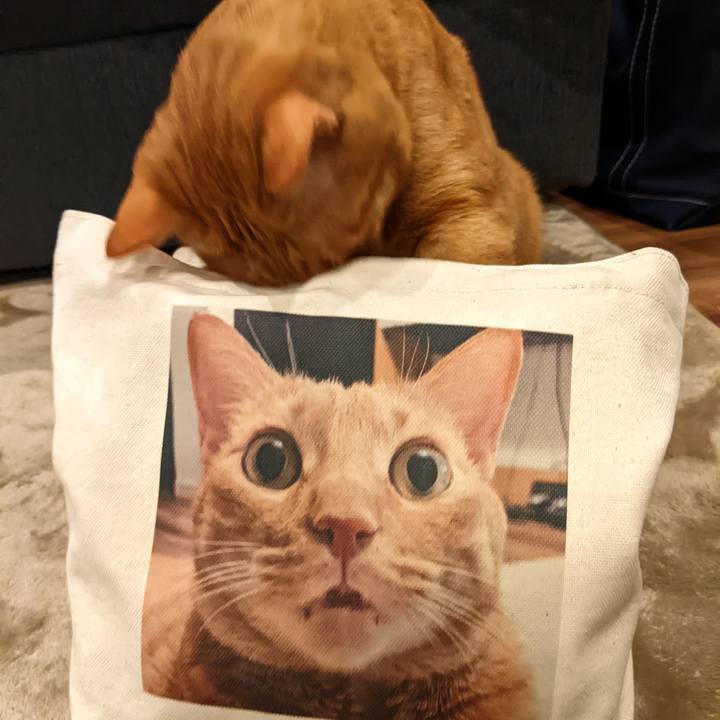 D86ec7d6 cb9f 4f64 815a 91a34e047676 1668944478407