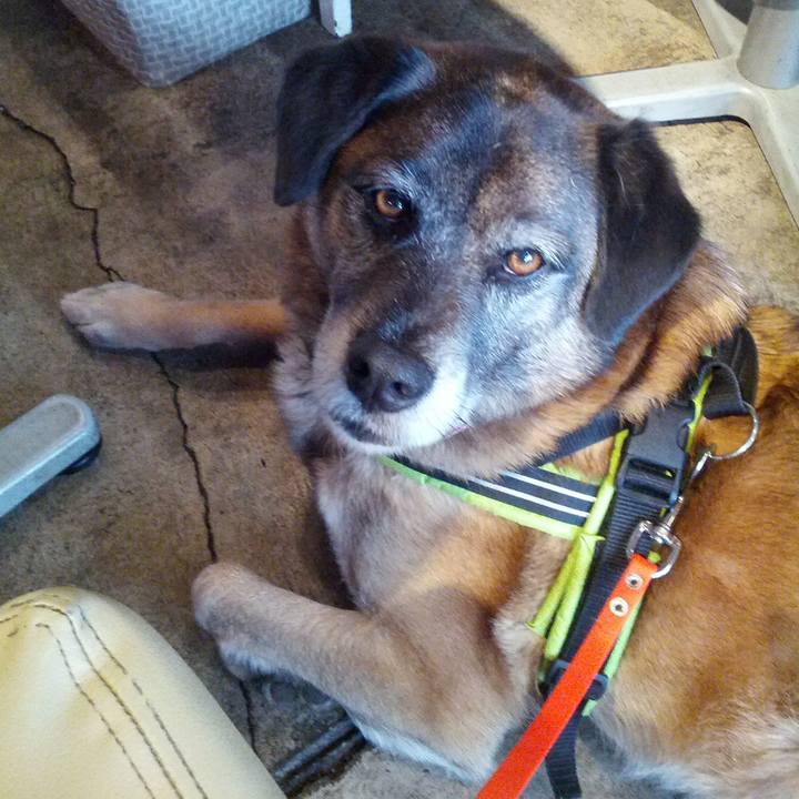 D86f2100 33ff 4a85 9279 bb30f3b324d8 1681176235651