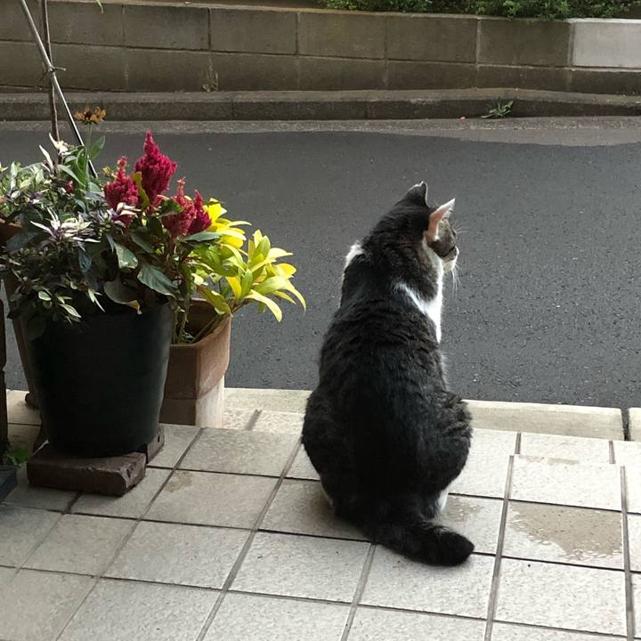 D86f2874 1c8c 4ce7 bdd1 9b1f4c23ccc9 1535623830967