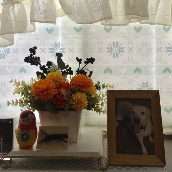 D86f35b3 8629 4613 aeaf c4094ff1326d 1574133494354