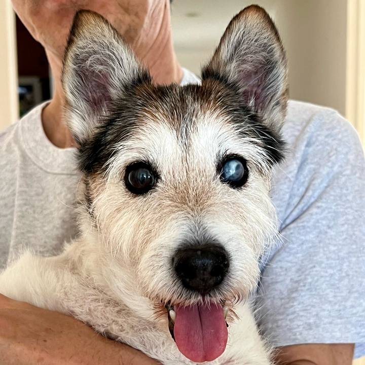 D86f3868 9bdc 4c47 b85a 2eed0943ee4a 1759186722045