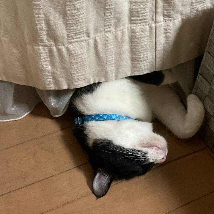 D86f448b f59b 40f2 87f1 5292d2d384ca 1750406648840