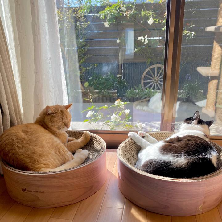 D86f5653 efeb 4041 b1c7 d81c8a00be5e 1697243257760