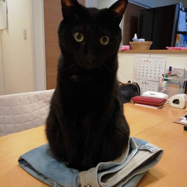 D86f6e78 11c5 41a1 956a 972ab8944d45 1651068181896