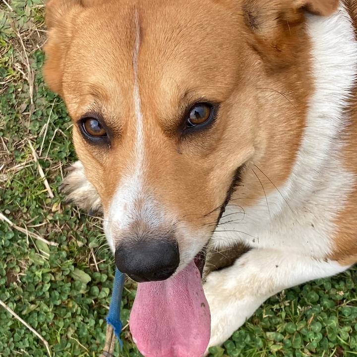 D86f72c6 2bd9 4bd8 b35b 15a14900071a 1678327340108