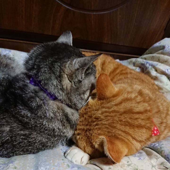 D86f7aff c12c 47b0 a809 1077b165b37d 1578830095828