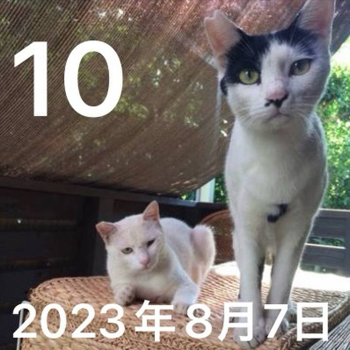 D86fa01d 93f0 4f8b 8b8f 2ea05a959aa3 1786359768691