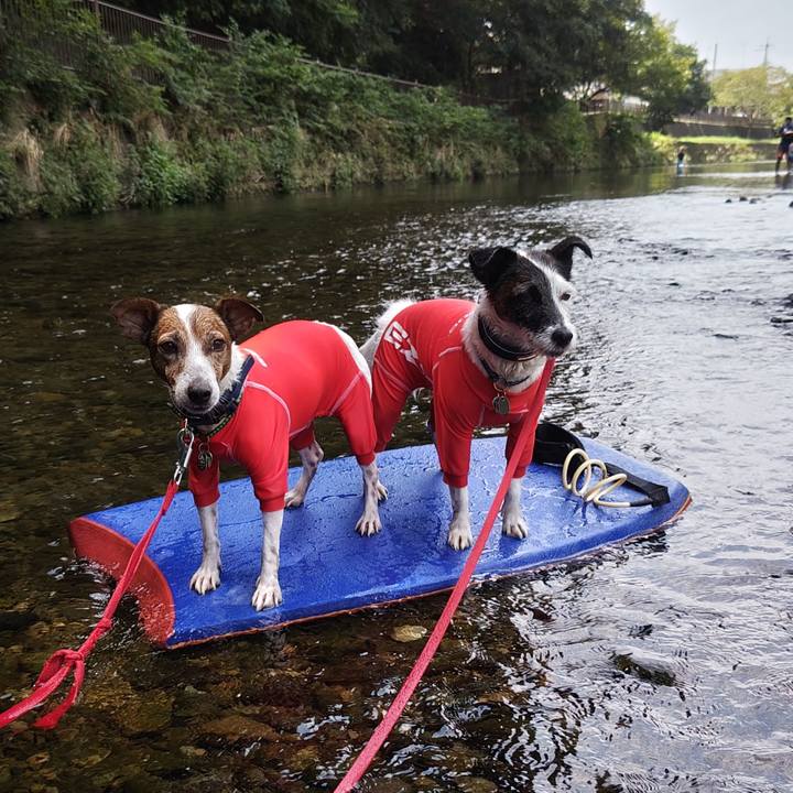 D86fb355 f8a3 49b9 ada7 2105fb5e0fad 1756617351784