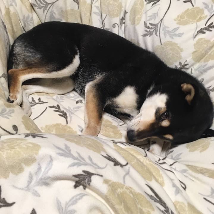 D86fc277 3368 49cf 8c03 db02ed1c6852 1582600725308