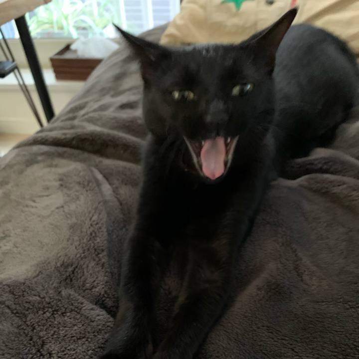 D86fd0af f52d 4cfb 8022 b2d33ba0e312 1570245906025