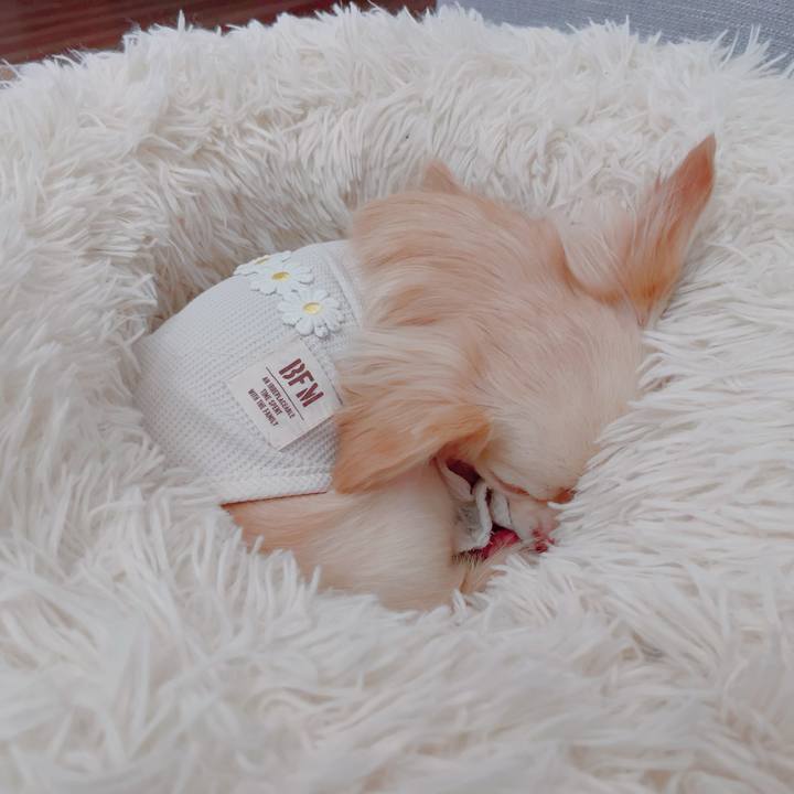 D86fe4da 168d 49c0 bc27 11f48f45ba6c 1684099718736