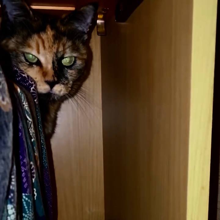 D8704f6c 0f47 41a8 be1e f80835102caa 1759782428756