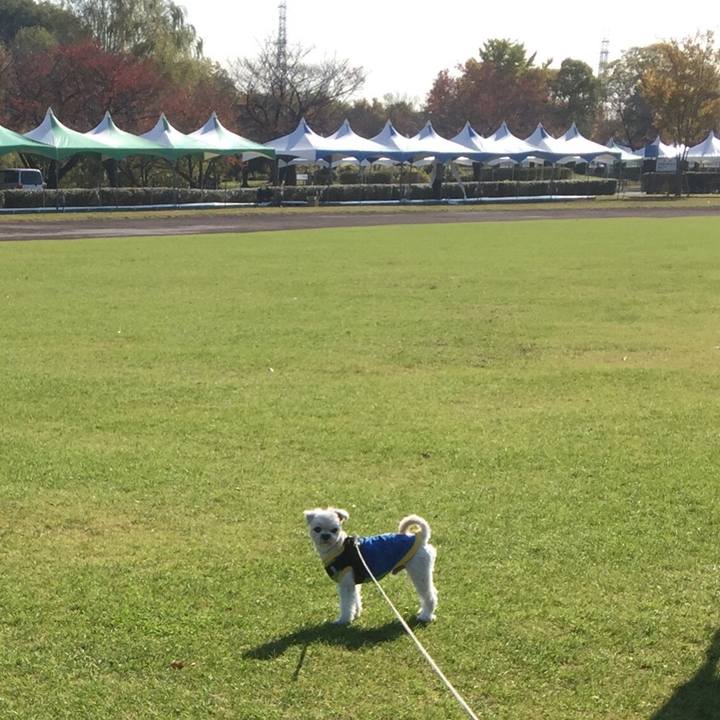 D870cca2 e88c 42ef adf7 a1e44e4aa04b 1510915935909