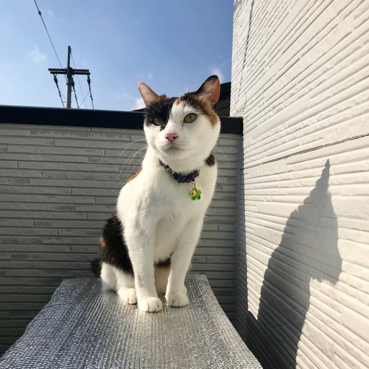 D870f411 0ab9 43ff 81b2 662fe20469dd 1548217605169