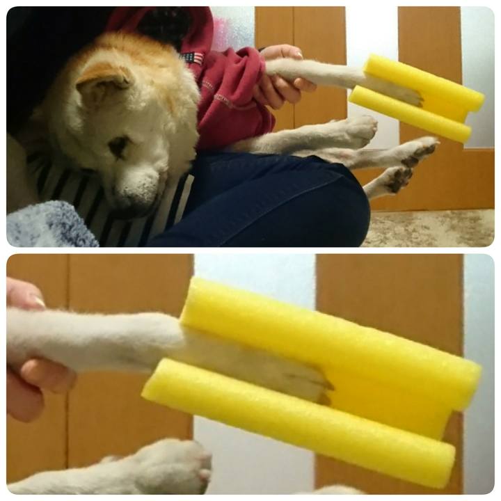 D8712a27 058a 416b b745 e693920ebd04 1518135786786