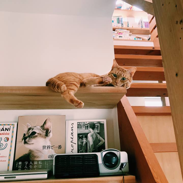 D8716f3c 377b 4e77 b297 03590c05a0b9 1590667359744