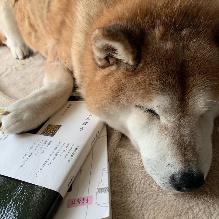 D8716f47 9933 42b7 bcea cdcdc89e4097 1567928595513