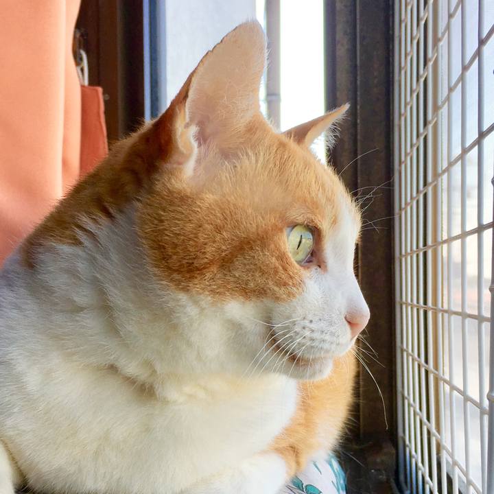 D8717537 642d 4265 8e11 05dd7c440531 1561778433037