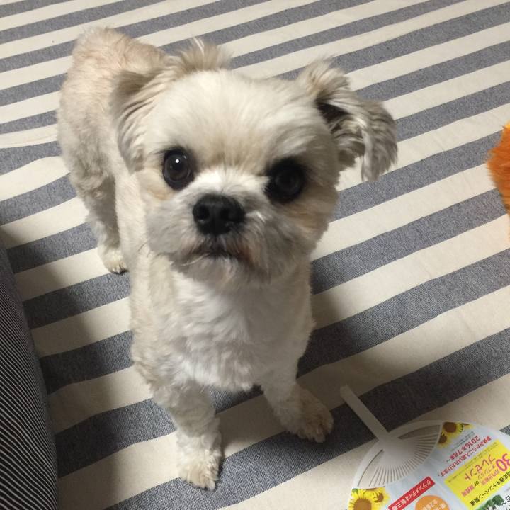 D8718601 356a 4453 aa04 72f76847e042 1527166829814