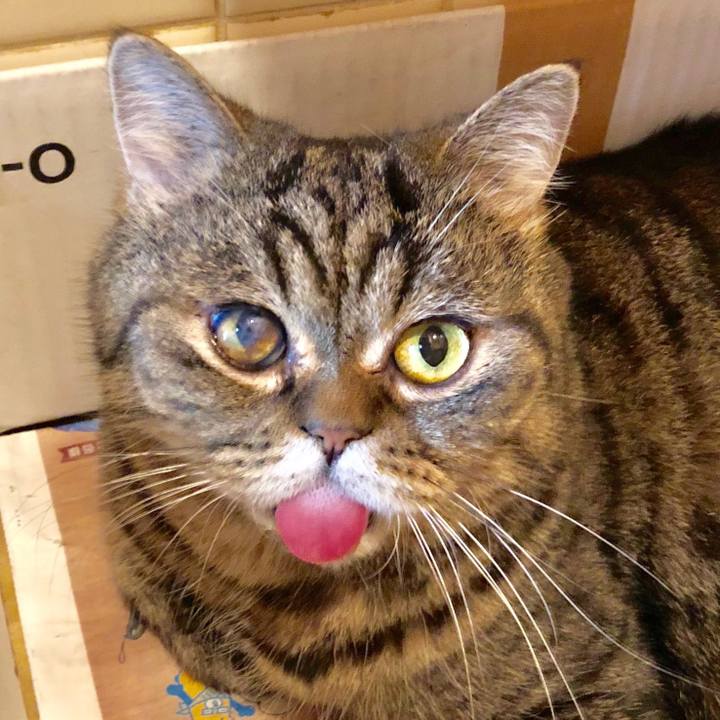 D871c2c0 2232 4505 87c3 cd290feb3ff0 1544239678392