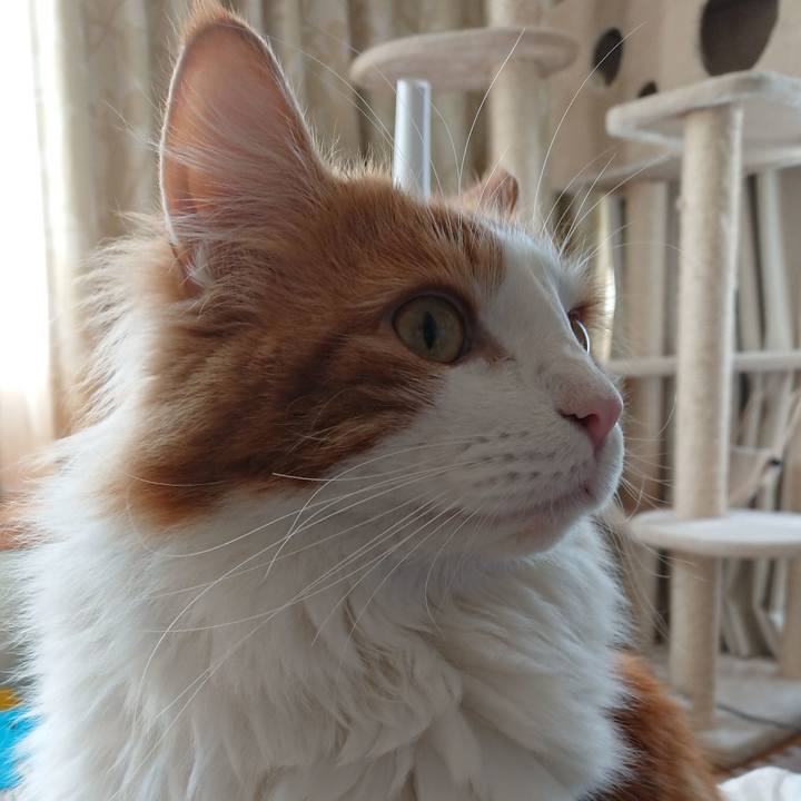 D871de7d ebfd 4cc1 bda6 b1fb731c736f 1520904259458