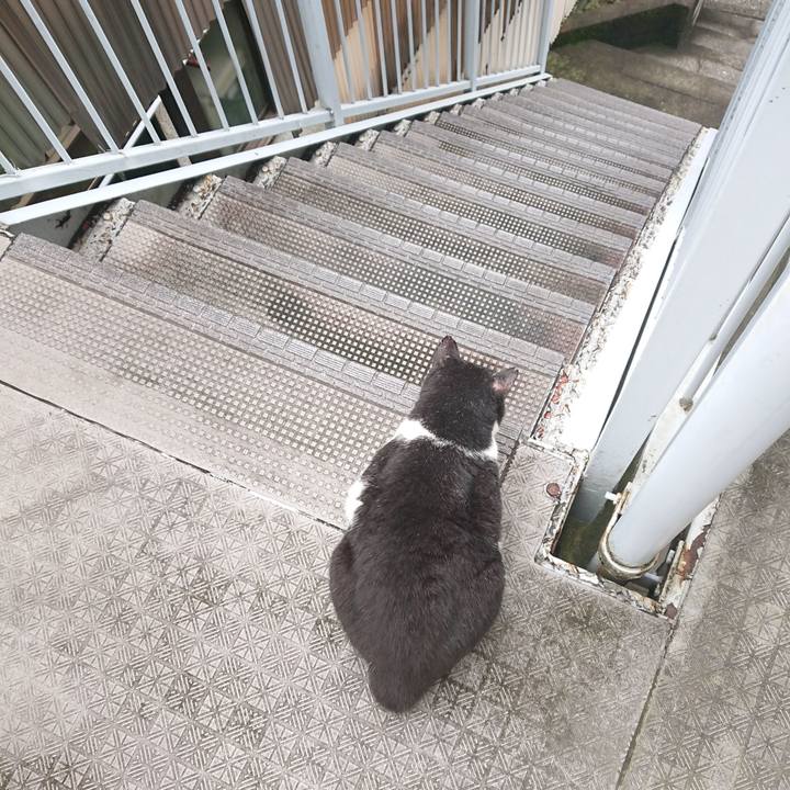 D872012c 8dbc 4bcf 86ef cd45764a3d6e 1662089112911