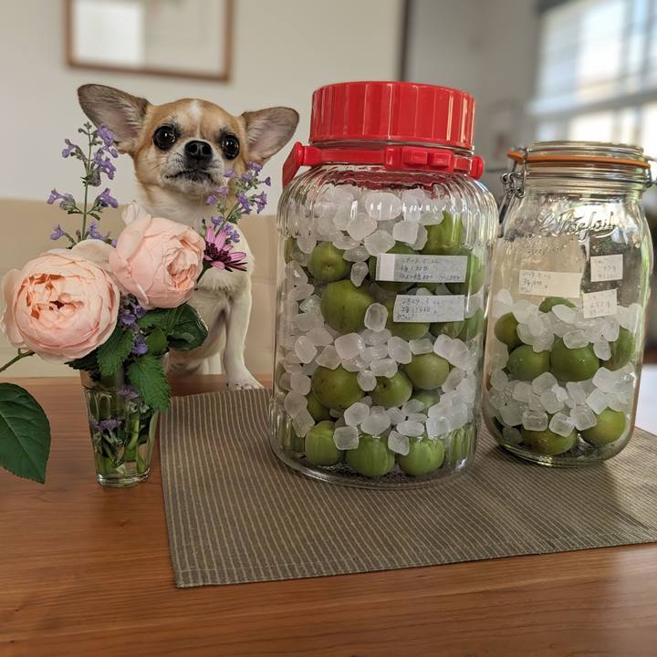 D8720484 158b 4283 9f11 c11f11a7609f 1716710433367