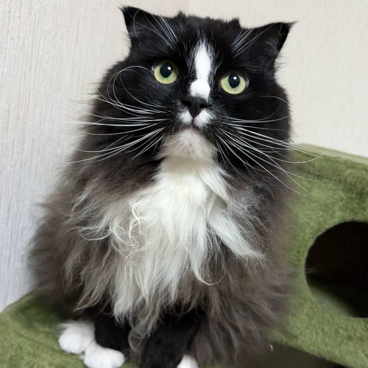 D87208e9 0a6e 428c 98be a63f0c8b3fa4 1736002950125