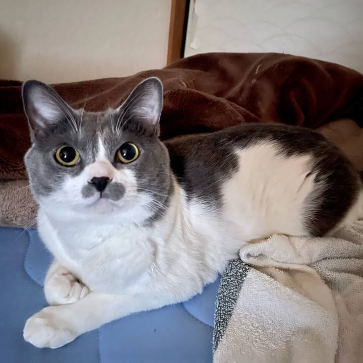 D87234cf 60cf 4ab0 8945 d846e4ac88a3 1661463981686