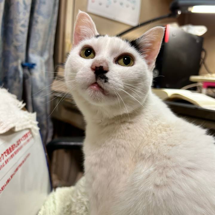 D87250f5 1d7d 4a4e a346 3f8ac5e1e4f9 1773807121535