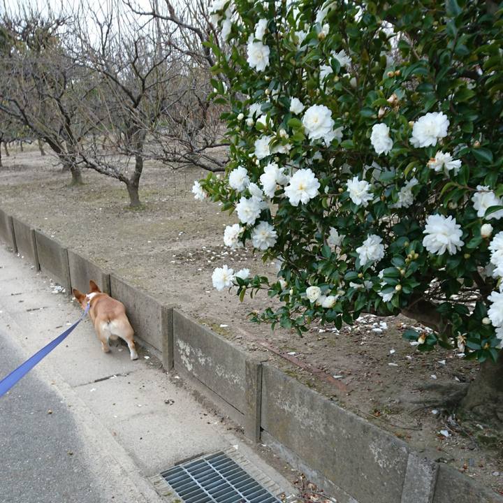 D872a4cd 3e83 4359 b5cd b9b375dbc5f2 1575715906323