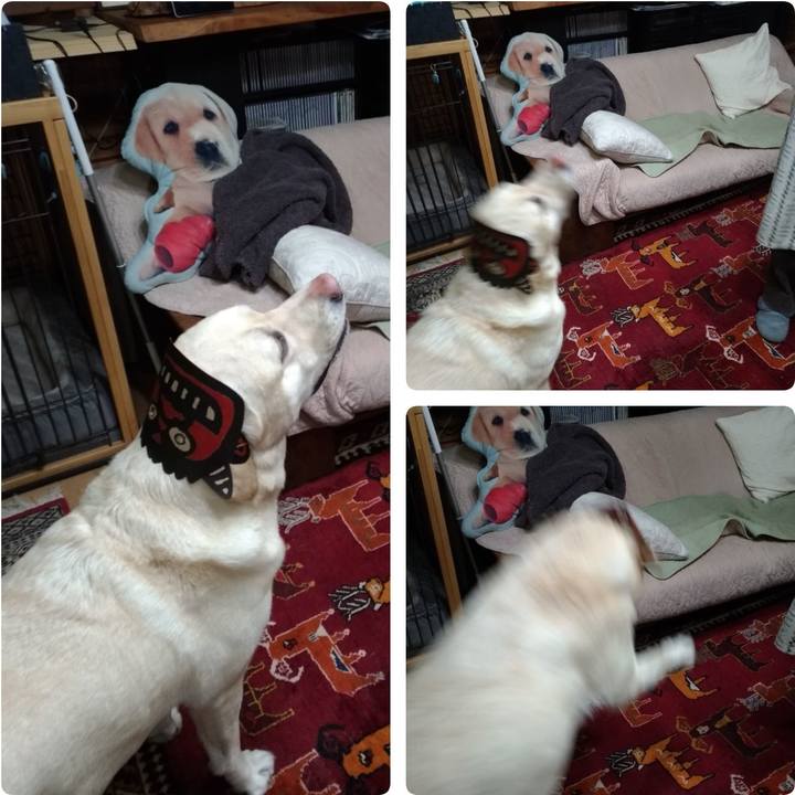 D872b354 20b9 4255 8340 a5c913de2f78 1612261942987