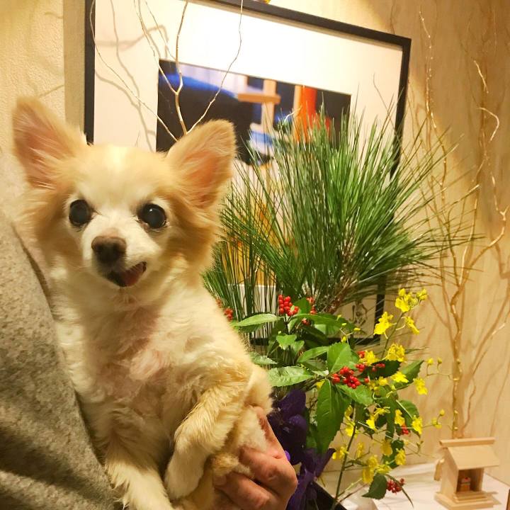 D872bf7b 6f61 4d5b b9d1 0b8c3d0554ce 1641307947219