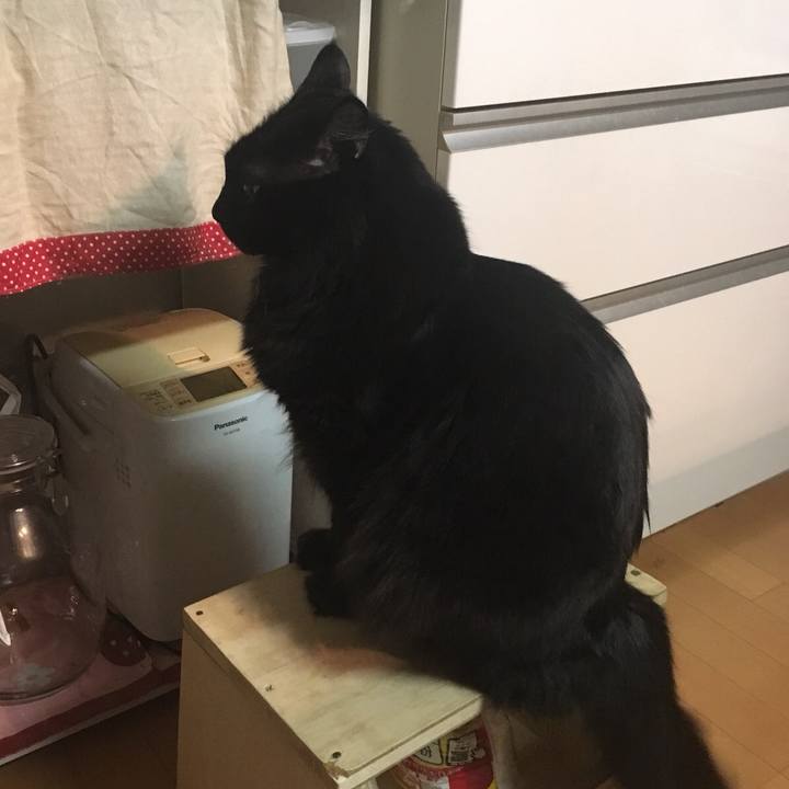 D872cb95 6f59 4065 b050 982c5db9f4e1 1518324408203