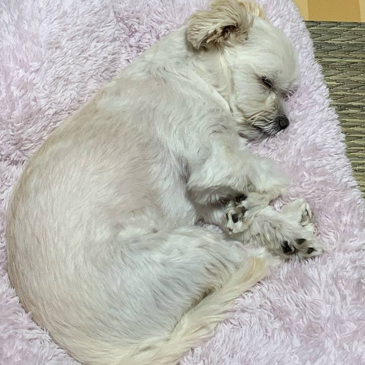 D873298f 2e3e 4006 bcab 29ab173f03e2 1572260638401