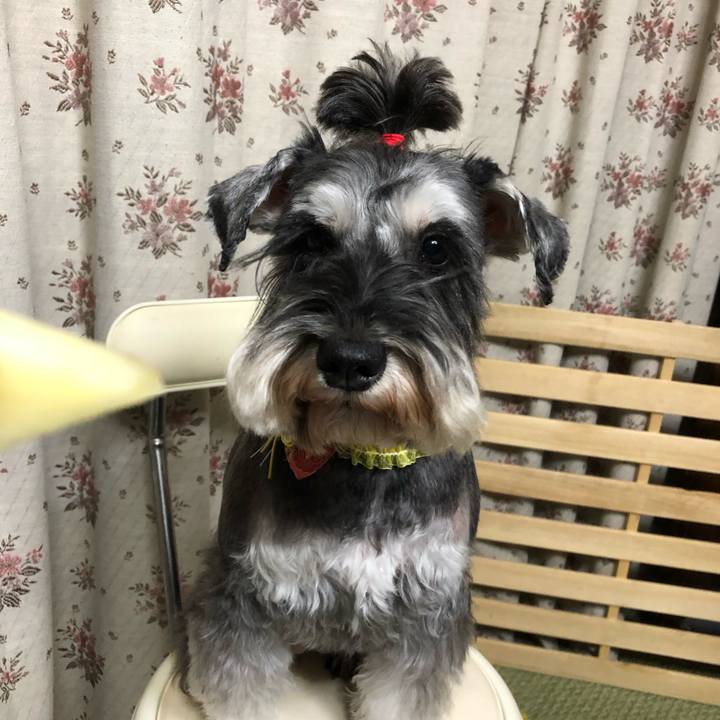 D8734723 db44 41ba 8953 c5692cc5516a 1606996648403