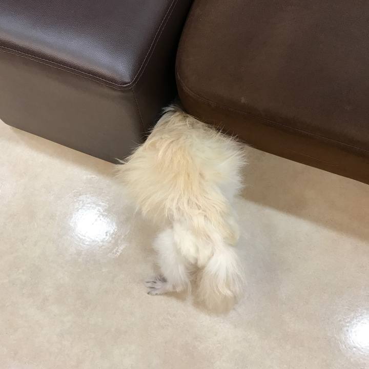 D8737d9d dd86 4b06 ac9d cbbabeb242f5 1517914280576